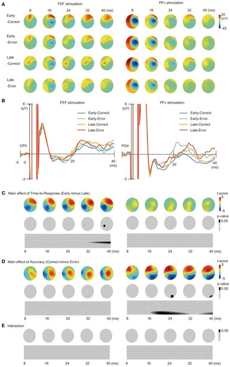 Tms Eeg Experiment A Scalp Patterns Of Tms Eps Shown In Time Bins Of