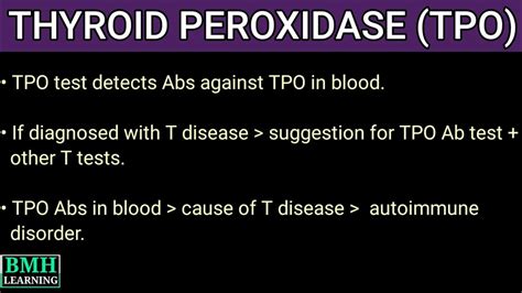 Thyroid Peroxidase | TPO | Anti TPO Antibodies | Thyroid Antibodies ...