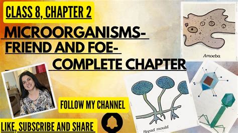 MICROORGANISMS FRIEND And FOE Complete Chapter In One Video