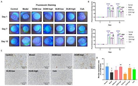 Ijms Free Full Text The Extracts Of Dendrobium Alleviate Dry Eye Disease In Rat Model By