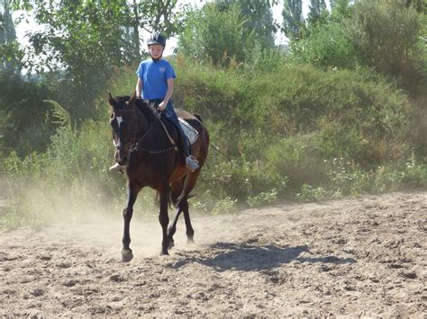 Hoch zu Roß – eine Reitstunde im Reiterhof Bert Deter in Wulkow bei ...