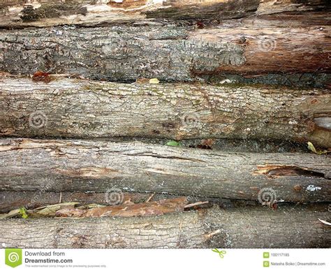 Fundo De Madeira Da Textura Dos Logs Imagem De Stock Imagem De Corte