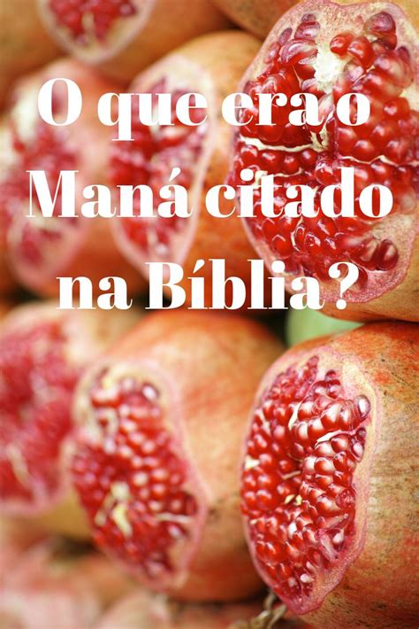 O Que é Maná Qual Significado De Maná Nos Dias De Hoje Vida Com