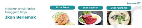 Makanan Untuk Pasien Gangguan Ginjal Kavacare