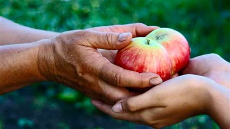 El Alma Generosa Será Prosperada Proverbios 11 25 Devocional Diario