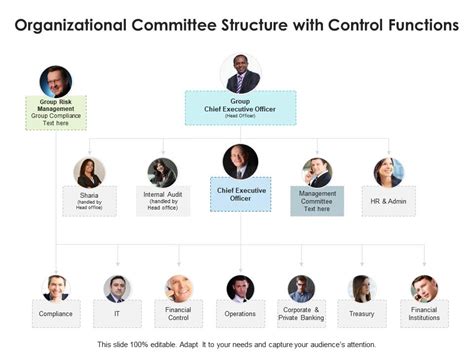 Organizational Committee Structure With Control Functions
