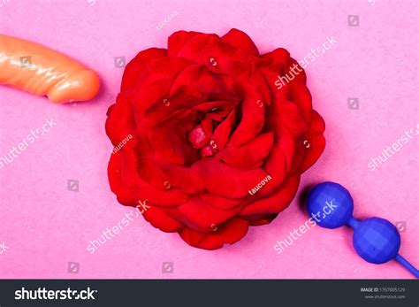 Red Rose Blossom Vagina Symbol Venus Stock Photo Shutterstock