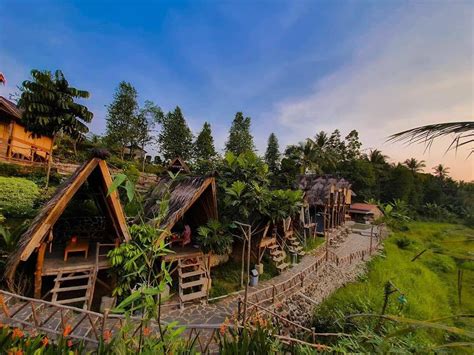 Saung Dolet Serang Banten Tempat Wisata Alam Dan Kuliner Pinggir Sawah