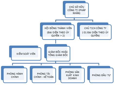 Tìm hiểu về công ty TNHH 1 thành viên là gì kế toán hà nội