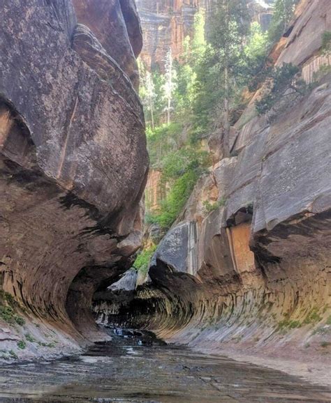 The Subway Bottom-Up Hike Zion National Park