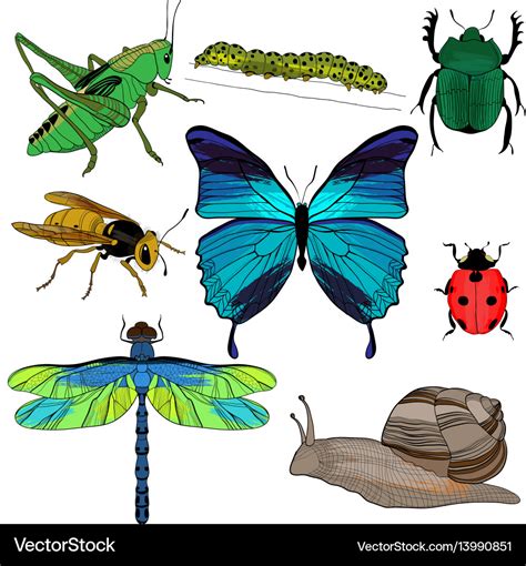 Colorful Drawing Insects Collection Royalty Free Vector