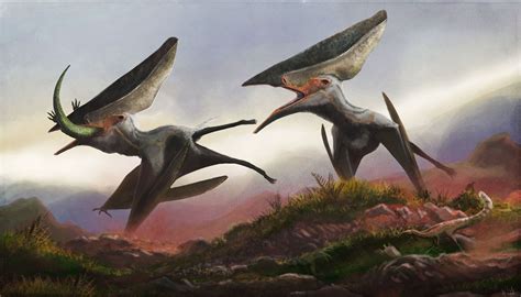 Thalassodromeus Sethi Supercrested Pterosaur By Mark Witton Check