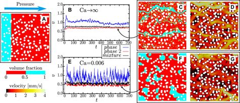 Frontiers Bubble Dynamics In Stationary Two Phase Flow Through