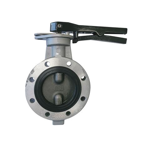 Burgmer Dn Ba Butterfly Valve Tieman