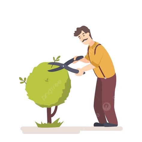 Gardener Trimming Trees And Worker Cutting Hedges In A Garden Vector