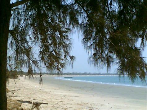 Bird Watching Holidays In Niumi National Park In Gambia
