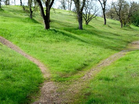 Free Images Landscape Tree Path Pathway Outdoor Wilderness