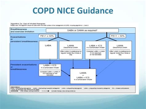 Ppt Value And Responsible Respiratory Prescribing Dr Vince Mak Consultant Physician Nwlh