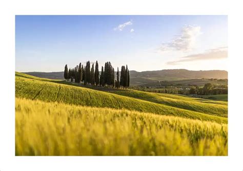 Fine Art Print Of San Quirico D Orcia Val D Orcia Siena Province