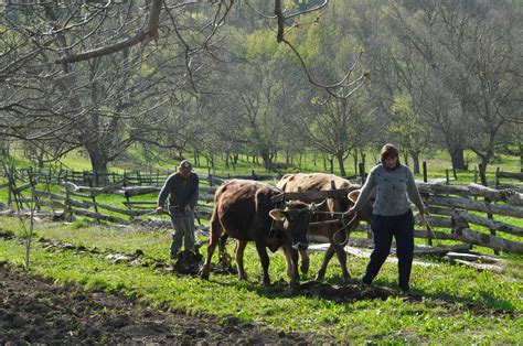 Rural Romania My Romania