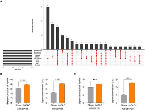 Frontiers Bioinformatic Identification Of Hub Genes Myd88 And Ccl3