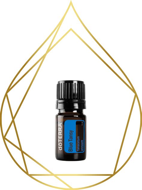 Blue Tansy | doTERRA Essential Oils