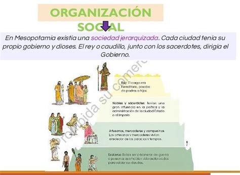 realiza un gráfico diferente al de la imagen de la organización social