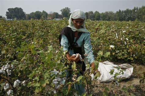 The Future Of Indian Agriculture Lies With Atmanirbhar Farmers