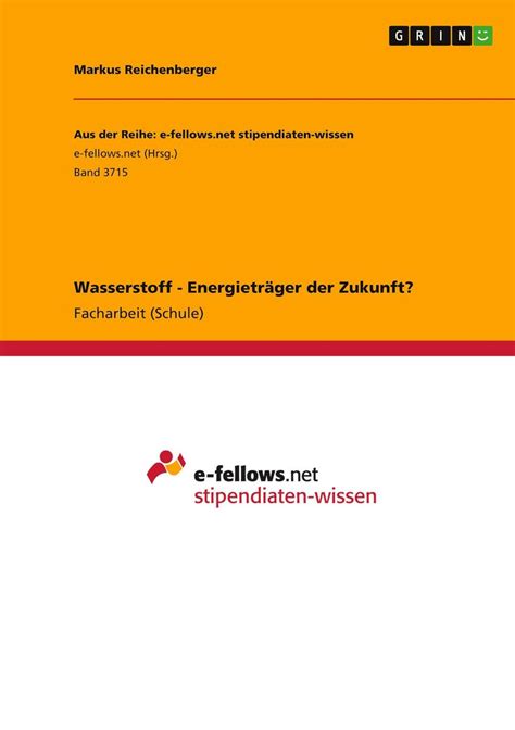 Wasserstoff Energieträger der Zukunft von Markus Reichenberger