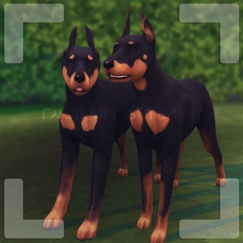 Sims 4 Dog Poses