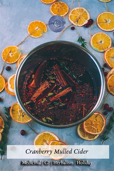 Cranberry Mulled Cider My Tiny Laguna Kitchen