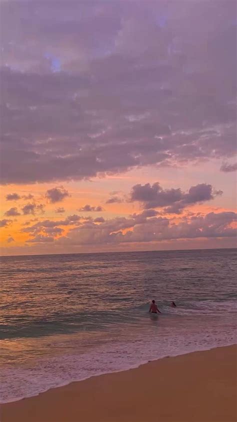 Beach Sunset Sunset Swimming Beach Photos Beach Aesthetic Love Hawaii Night Swimming