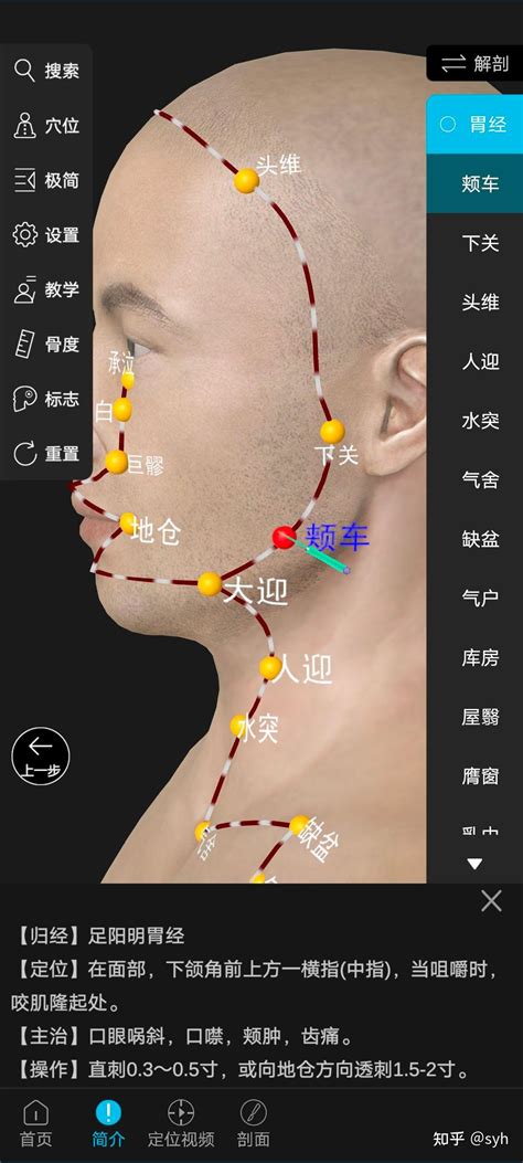 针灸定位 三叉神经痛 知乎