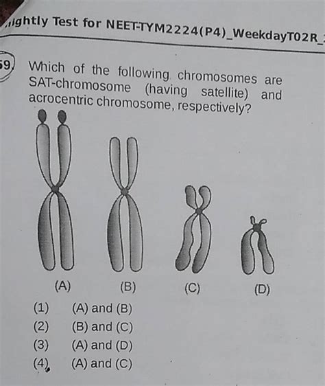 Sat Chromosome Having Satellite And Acrocentric Chromosome Respectivel