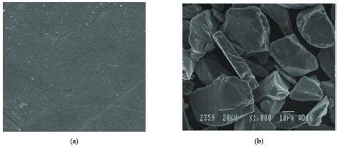 A Scanning Electron Micrograph Of Aa Alloy B Scanning