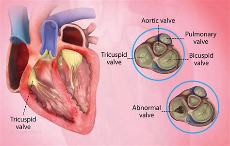 Health Condition Symptoms Causes Treatment And More