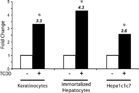 Tcdd Increases Epiregulin Mrna Primary Mouse Keratinocytes Sv 40