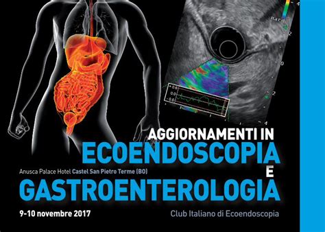 PDF AGGIORNAMENTI IN ECOENDOSCOPIA Disfunzioni Gastrointestinali