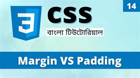 CSS Margin Vs Padding In Bangla Difference Between CSS Margin And