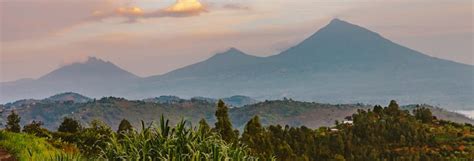 Volcanoes National Park Rwanda - Roots Tours & Travel