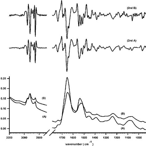 Representative Ftir Absorbance Spectra In The Interval Of Frequencies