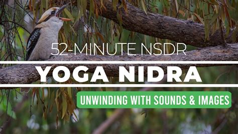 Minute Yoga Nidra For Unwinding With Sounds And Images Nsdr