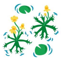 Dise O Png Y Svg De Plantas Acuaticas Planas Para Camisetas