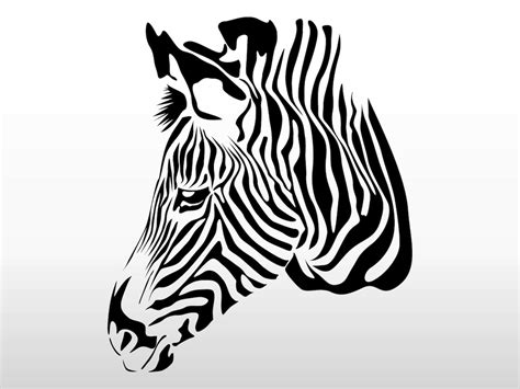 Zebra Head Vector Art & Graphics | freevector.com