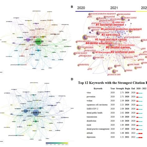 Some Examples That Underline The Difference Between Sex And Gender Sex Download Scientific