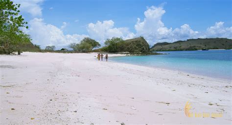 Pink Beach Komodo National Park | Favorite Tourist Destinations