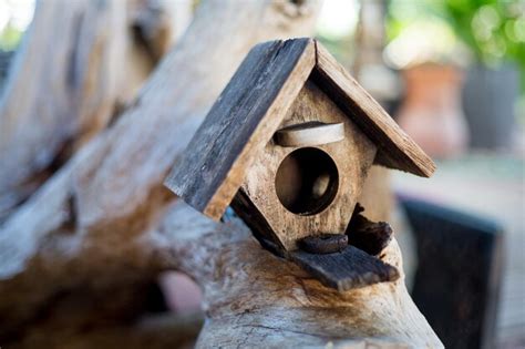 Premium Photo Close Up Of Birdhouse On Wood