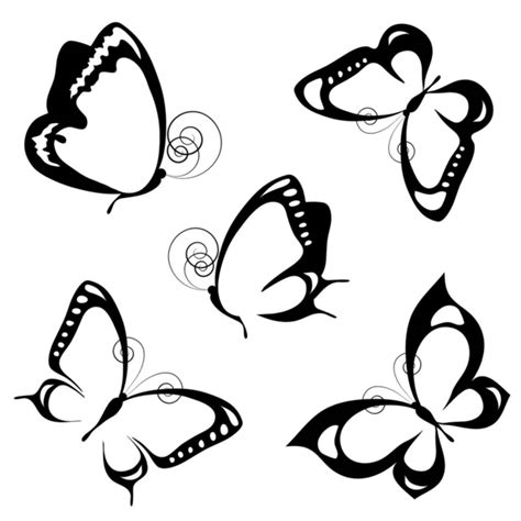 Butterflies Design Stock Vector By Aboard