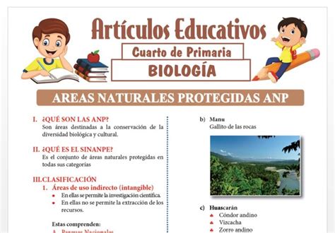 Biolog A Para Cuarto De Primaria Articulos Educativos