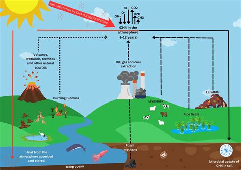 Understanding Methane From Livestock Autumn Sheep Notes